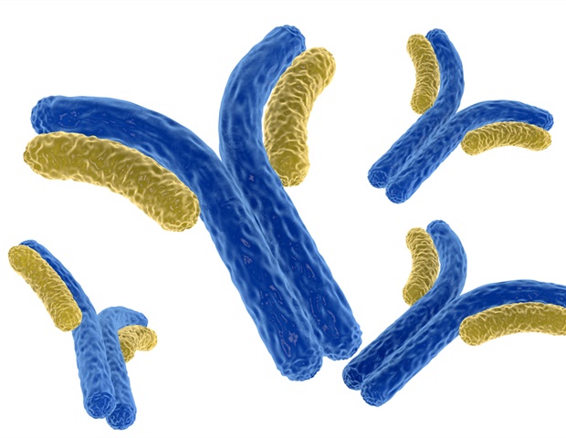 Immune proteins in tooth enamel shed light on prehistoric humans